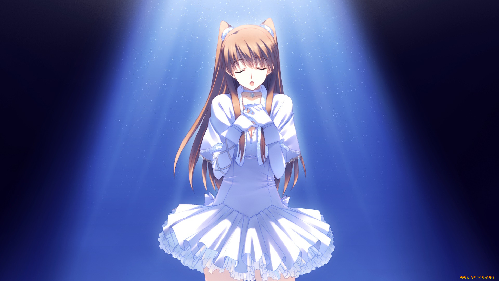 , white album, , , 